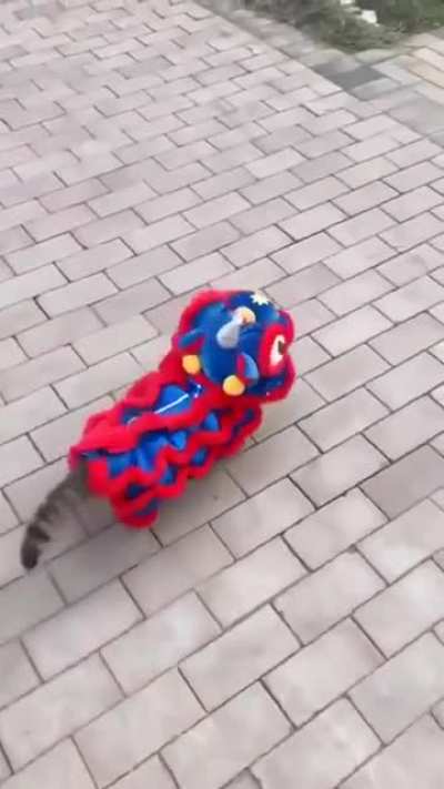Perfect dragon walk
