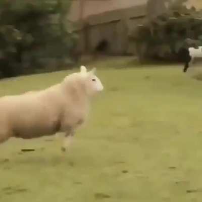 Quando sai v&iacute;deo do Luba: