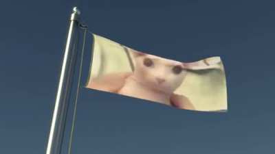 Blursed Bingus flag