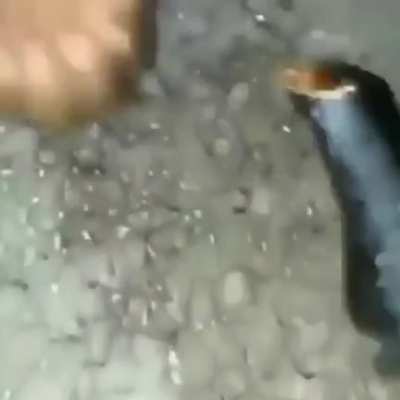 Memerman
