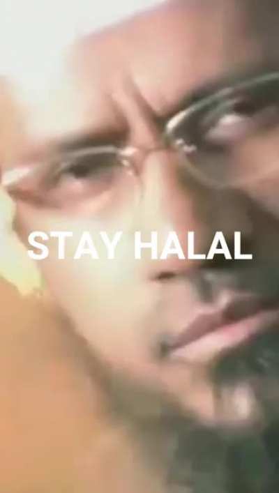 Hold your Horses