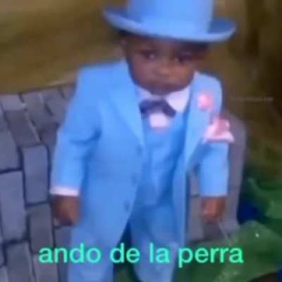 El anda de la perra 😎