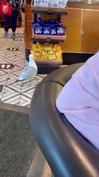 Blatant shop lifting