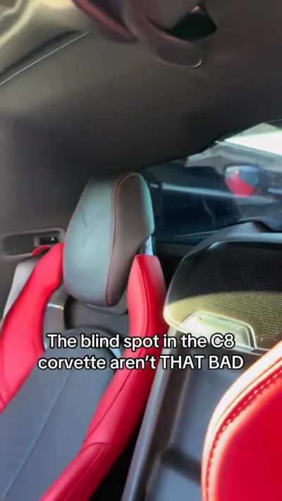 That&rsquo;s crazy a whole dodge charger hides in the blind spot