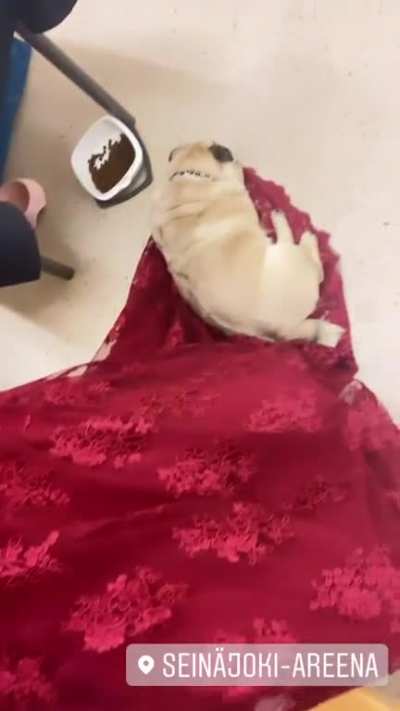 Can´t move