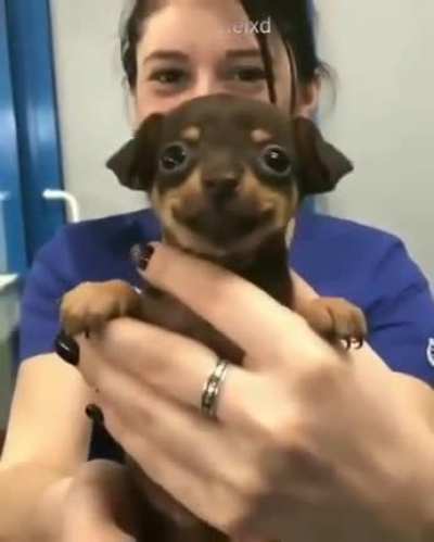 😄