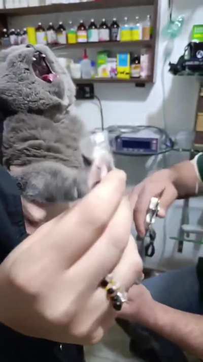Noooo, give me that!