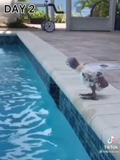 Trust issues