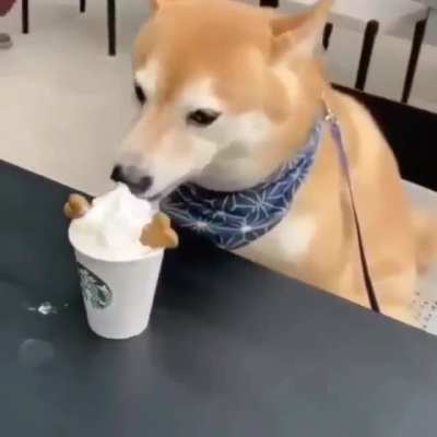 &ntilde;om