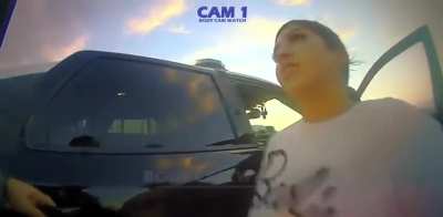 The most painful traffic stop