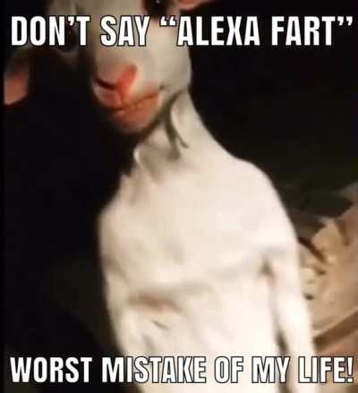 (Farting at 3 a.m. challenge)
