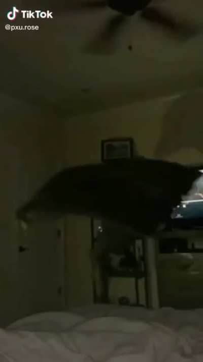 I am the Night.