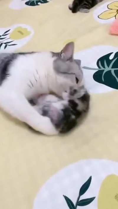 Лучшая защита от кошмаров.