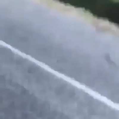 The G&oacute;d's Hand, yeeter of alligators