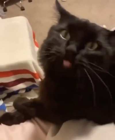 When You Discover the Licky Licky Button