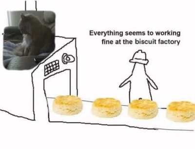 Biscuit production at an all-time high thanks to Orange Boy&trade;