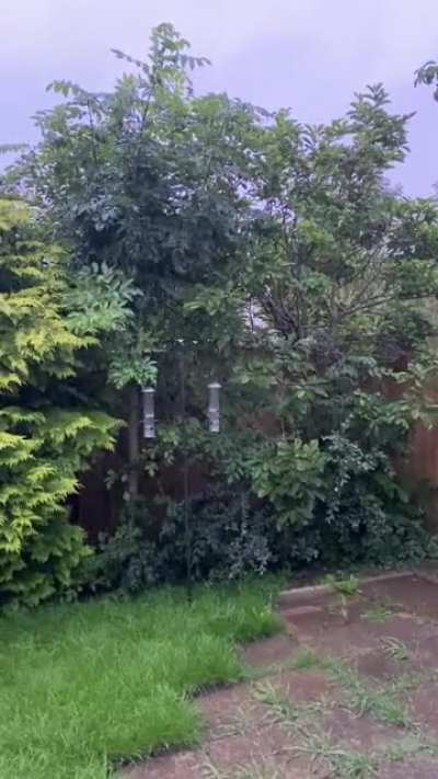It&rsquo;s currently raining in England.