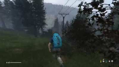 this was the scariest moment of my 500ish hours on dayZ