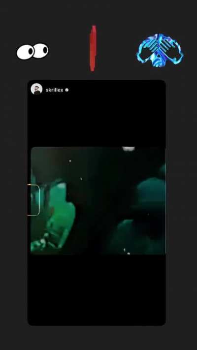 SKRILLEX X PEEKABOO