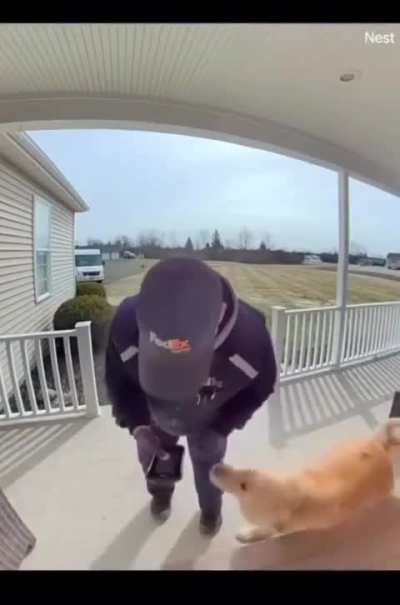 The best guard dog is him.