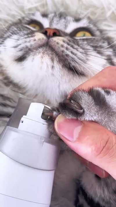nfc
