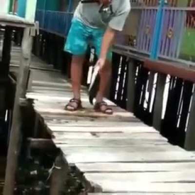 Nice catch