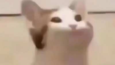 Miau.