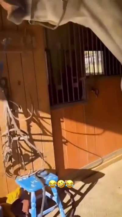 Maybe maybe maybe