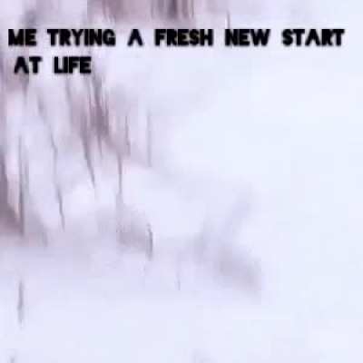 What to write here