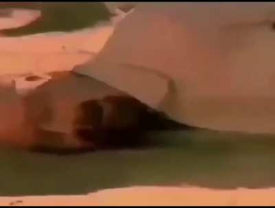 Se separ&oacute; Daft Punk 😔