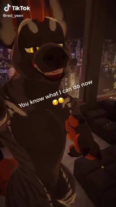 tracking_irl