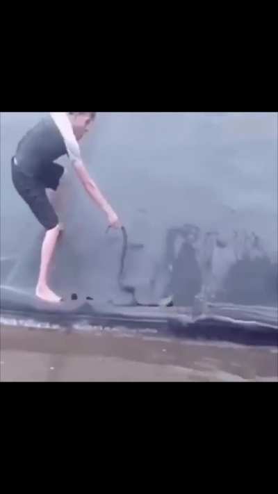 А guy wanted to pull a snake out of the pool, but his older brother came to the rescue.