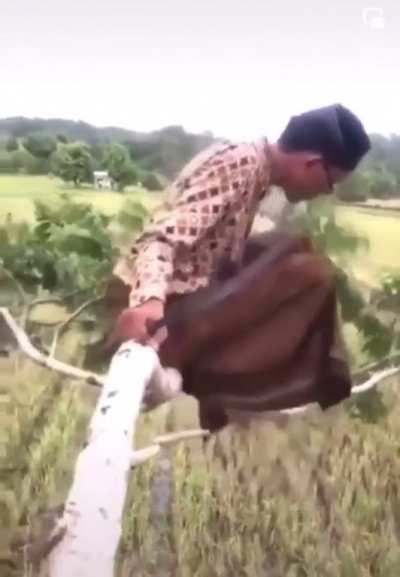 Gravity