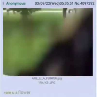 Are u