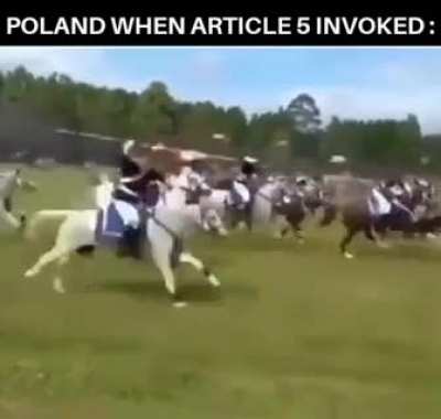 When your Polish ally helps you fight