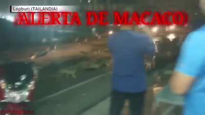 Alerta