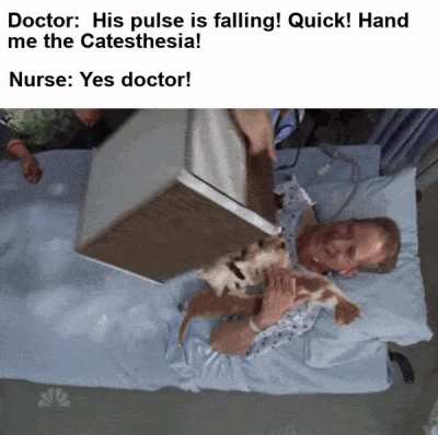 He can die a happy man now