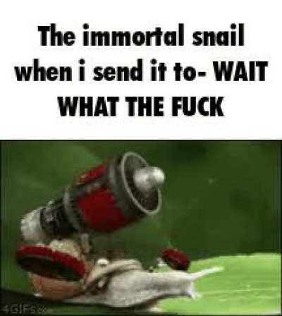 DEAR GOD