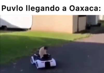 Puvlo😎