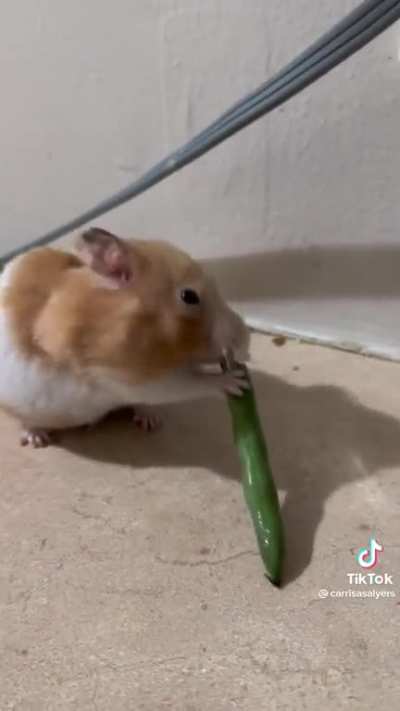 Favorite snack
