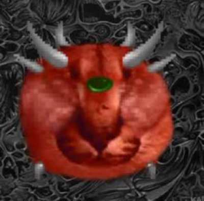 DOOM FLOPPA