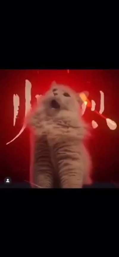 Not mine but thought it belonged here. @bltw.mp4
