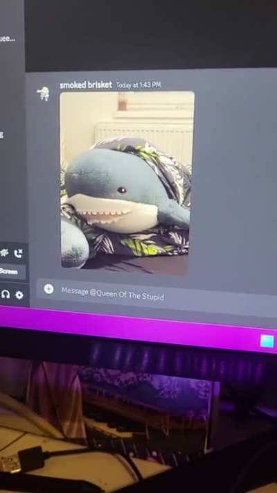 silly shark :D