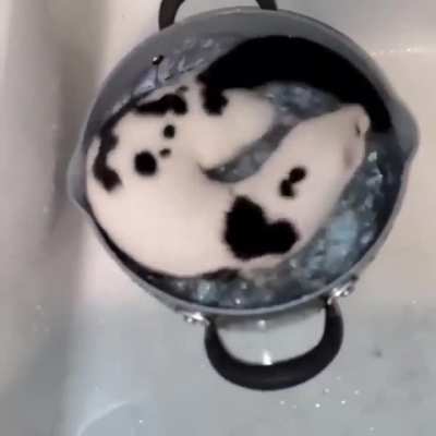 Catsnake stew