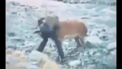 There's hunting, and then there's this.