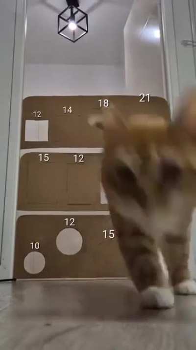 The numbers mason, what do they mean?