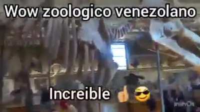 wow no sabia que existian esos