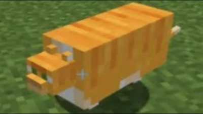 Minha pika est&aacute; dispostamente dur&iacute;ssima