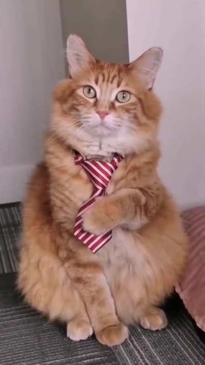 He does look smart