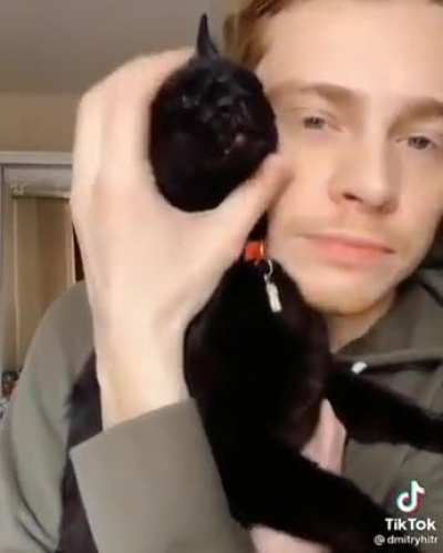 Meow...